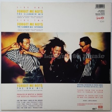 Tongue N Cheek - Forget Me Nots - The Slammer Mix • 12" Vinyl Maxi • MINT - Labyrinth Music