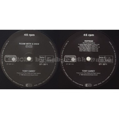 Tony Carey - Room With A View • 12" Vinyl Maxi • NM - Labyrinth Music