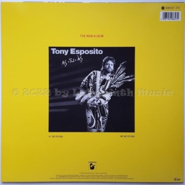 Tony Esposito - Papa Chico • 12" Vinyl Maxi • NM - Labyrinth Music