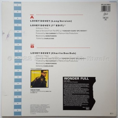 Tony Terry - Lovey Dovey • 12" Vinyl Maxi • MINT - Labyrinth Music