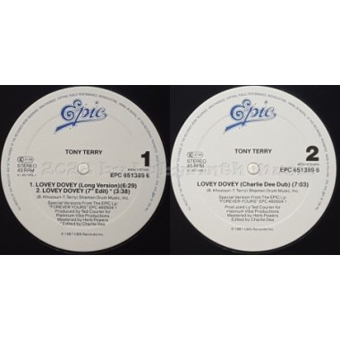 Tony Terry - Lovey Dovey • 12" Vinyl Maxi • MINT - Labyrinth Music