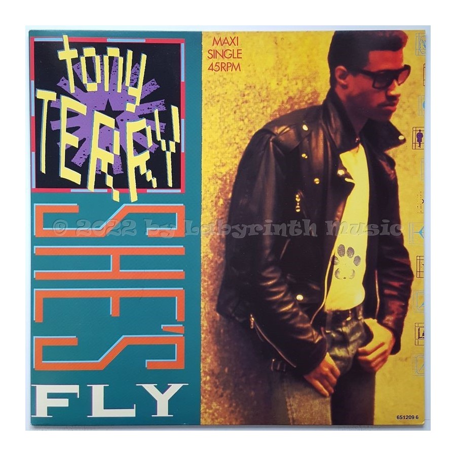 Tony Terry - She's Fly • 12" Vinyl Maxi • MINT - Labyrinth Music