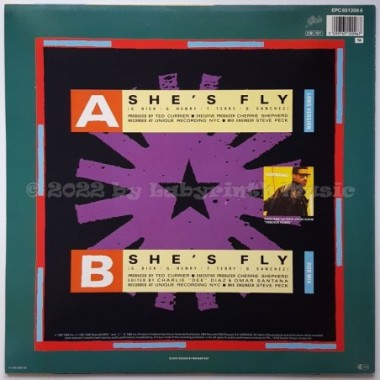 Tony Terry - She's Fly • 12" Vinyl Maxi • MINT - Labyrinth Music