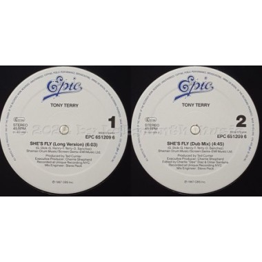 Tony Terry - She's Fly • 12" Vinyl Maxi • MINT - Labyrinth Music