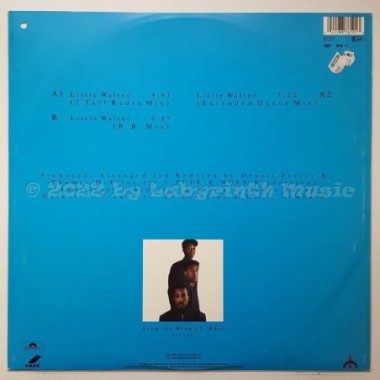 Tony! Toni! Toné! - Little Walter • 12" Vinyl Maxi - Labyrinth Music