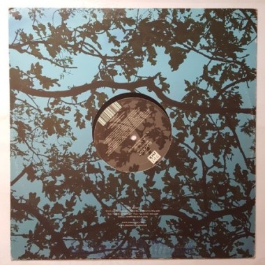 Blackjoy - Moustache • 12" Vinyl Maxi - Labyrinth Music