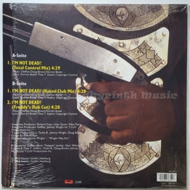 Turbo B. Feat. Thea Austin - I'm Not Dead • 12" Vinyl Maxi • MINT - Labyrinth Music