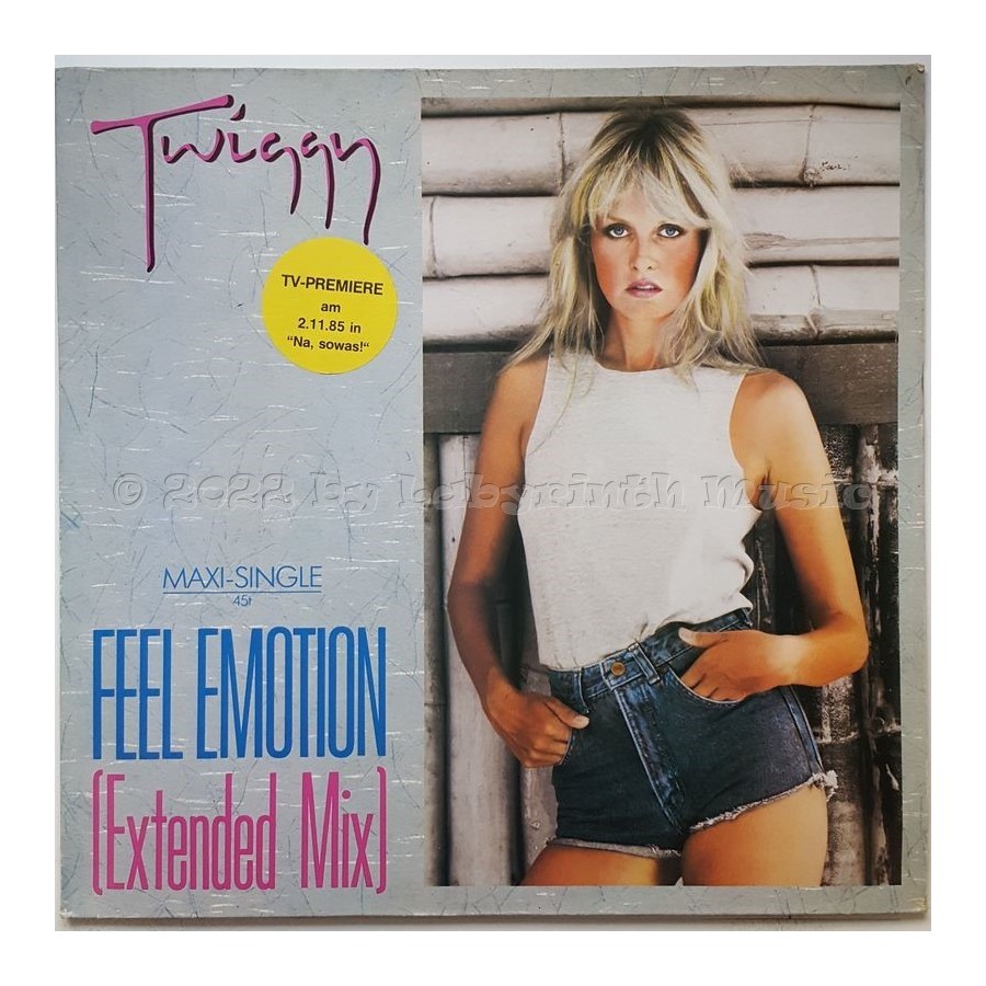 Twiggy - Feel Emotion • 12" Vinyl Maxi • EX - Labyrinth Music