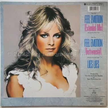 Twiggy - Feel Emotion • 12" Vinyl Maxi • EX - Labyrinth Music