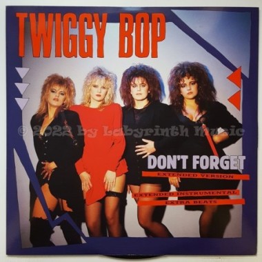 Twiggy Bop - Don't Forget • 12" Vinyl Maxi • EX - Labyrinth Music