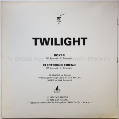 Twilight - Electronic Friend • 12" Vinyl Maxi - Labyrinth Music