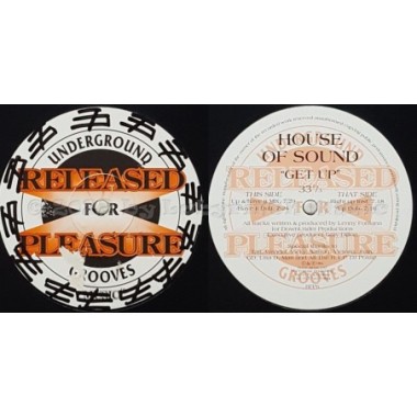 House Of Sound - Get Up • 12" Vinyl Maxi • NM - Labyrinth Music