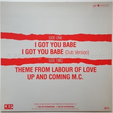 UB40 - I Got You Babe • 12" Vinyl Maxi • MINT - Labyrinth Music
