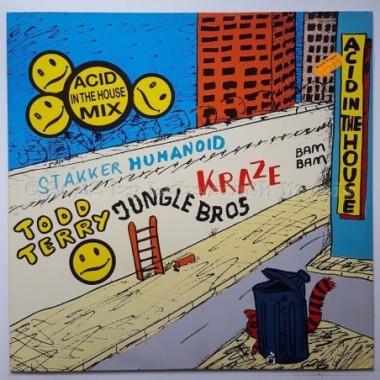 Various - Acid In The House Mix Vol. 1 • 12" Vinyl Maxi • MINT - Labyrinth Music