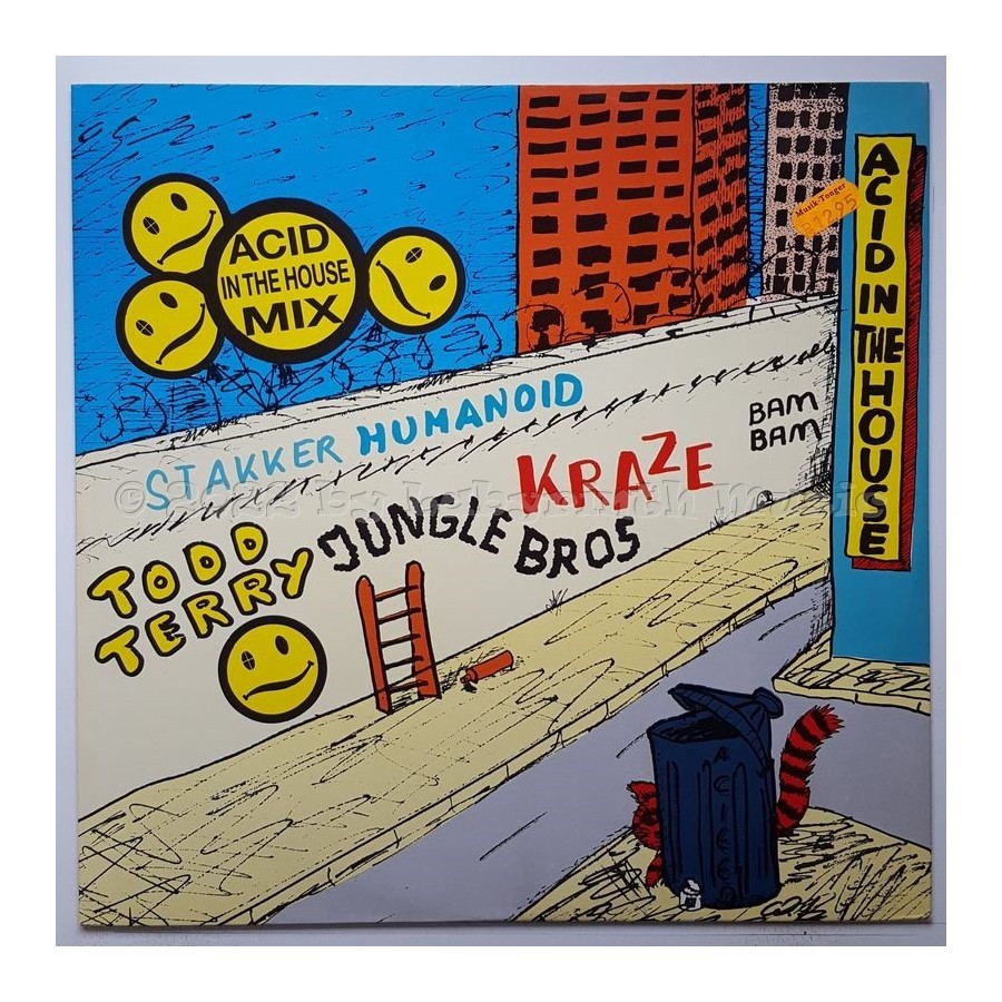 Various - Acid In The House Mix Vol. 1 • 12" Vinyl Maxi • MINT - Labyrinth Music