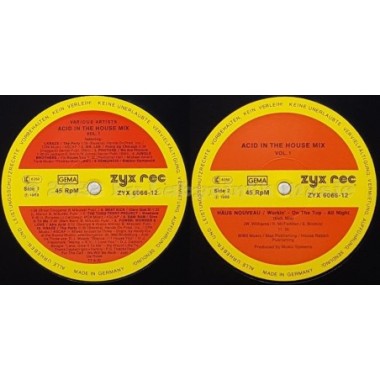 Various - Acid In The House Mix Vol. 1 • 12" Vinyl Maxi • MINT - Labyrinth Music