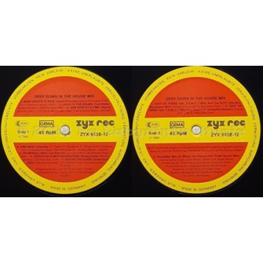 Various - Deep Down In The House • 12" Vinyl Maxi • NM - Labyrinth Music