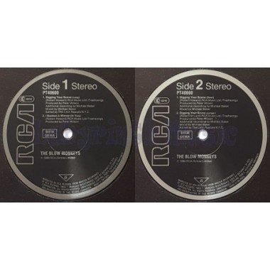 The Blow Monkeys - Digging Your Scene • 12" Vinyl Maxi • EX - Labyrinth Music