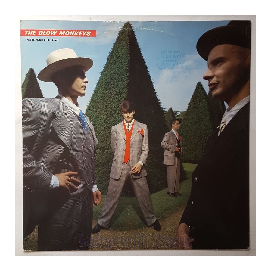 The Blow Monkeys - This Is Your Life Long • 12" Vinyl Maxi - Labyrinth Music