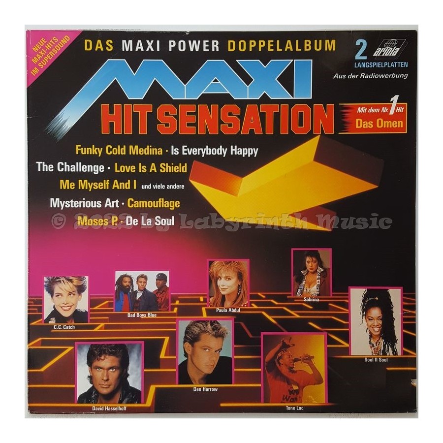 Various - Maxi Hit Sensation • 12" Vinyl LP • MINT - Labyrinth Music