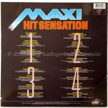 Various - Maxi Hit Sensation • 12" Vinyl LP • MINT - Labyrinth Music