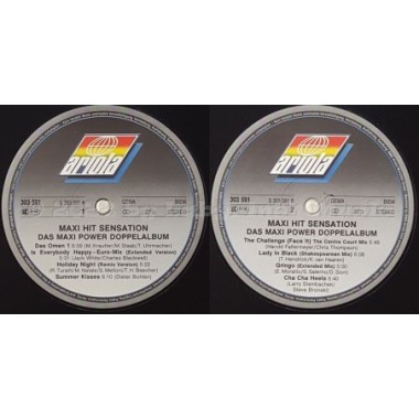 Various - Maxi Hit Sensation • 12" Vinyl LP • MINT - Labyrinth Music