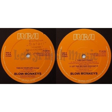 The Blow Monkeys - This Is Your Life Long • 12" Vinyl Maxi - Labyrinth Music