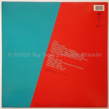 Various - Mike's Mixes • 12" Vinyl Maxi • MINT - Labyrinth Music