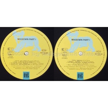 Various - The Mixdown Part 1 • 12" Vinyl LP • MINT - Labyrinth Music
