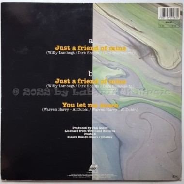 Vaya Con Dios - Just A Friend Of Mine • 12" Vinyl Maxi - Labyrinth Music