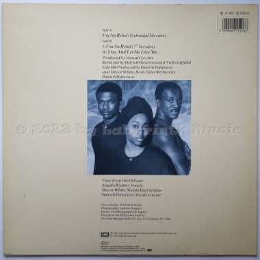 View From The Hill - I'm No Rebel • 12" Vinyl Maxi • EX - Labyrinth Music