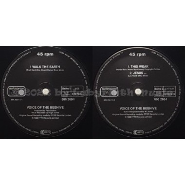 Voice Of The Beehive - I Walk The Earth • 12" Vinyl Maxi • EX - Labyrinth Music