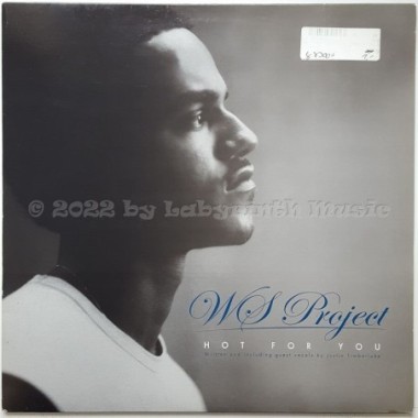 W.S. Project - Hot For You • 12" Vinyl Maxi • EX - Labyrinth Music