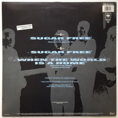 Wa Wa Nee - Sugar Free • 12" Vinyl Maxi • EX - Labyrinth Music