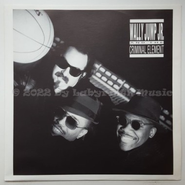 Wally Jump Jr. & The Criminal Element - Don't Push Your Luck • 12" Vinyl LP • MINT - Labyrinth Music