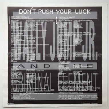 Wally Jump Jr. & The Criminal Element - Don't Push Your Luck • 12" Vinyl LP • MINT - Labyrinth Music