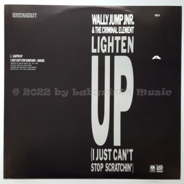 Wally Jump Jr. & The Criminal Element - Don't Push Your Luck • 12" Vinyl LP • EX - Labyrinth Music