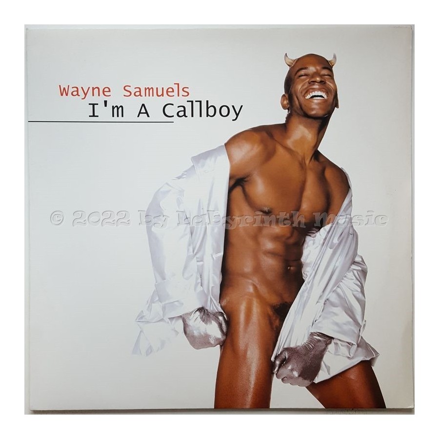 Wayne Samuels - I'm A Callboy • 12" Vinyl Maxi - Labyrinth Music