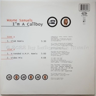 Wayne Samuels - I'm A Callboy • 12" Vinyl Maxi - Labyrinth Music