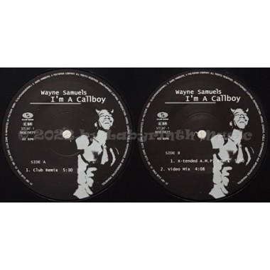Wayne Samuels - I'm A Callboy • 12" Vinyl Maxi - Labyrinth Music