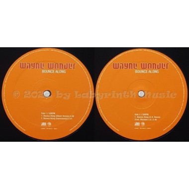 Wayne Wonder - Bounce Along • 12" Vinyl Maxi • NM - Labyrinth Music