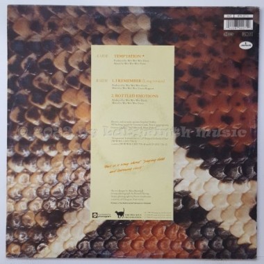 Wet Wet Wet - Temptation • 12" Vinyl Maxi • EX - Labyrinth Music