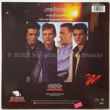 Wet Wet Wet - Wishing I Was Lucky • 12" Vinyl Maxi - Labyrinth Music
