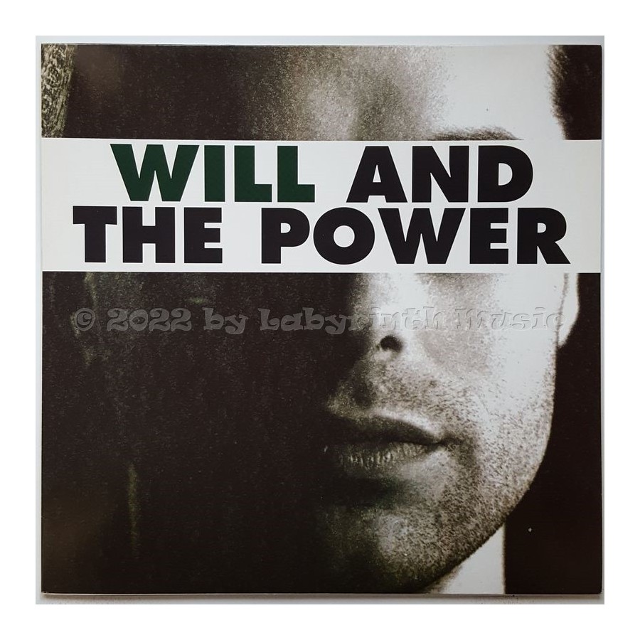 Will And The Power - Will And The Power • 12" Vinyl LP • MINT - Labyrinth Music