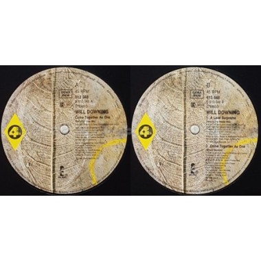 Will Downing - Come Together As One • 12" Vinyl Maxi - Labyrinth Music