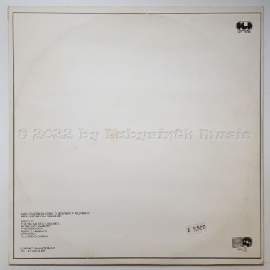 William Pitt - City Lights • 12" Vinyl Maxi - Labyrinth Music