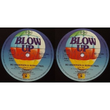 Bo Andersen & Bernie Paul - Our Love Is Alive • 12" Vinyl Maxi • EX - Labyrinth Music