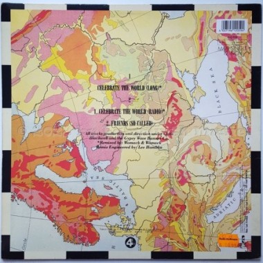 Womack & Womack - Celebrate The World • 12" Vinyl Maxi - Labyrinth Music