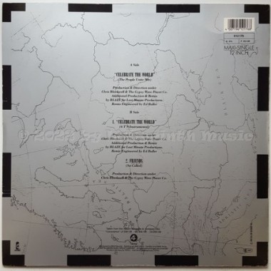 Womack & Womack - Celebrate The World • The People Unite Remix • 12" Vinyl Maxi • EX - Labyrinth Music