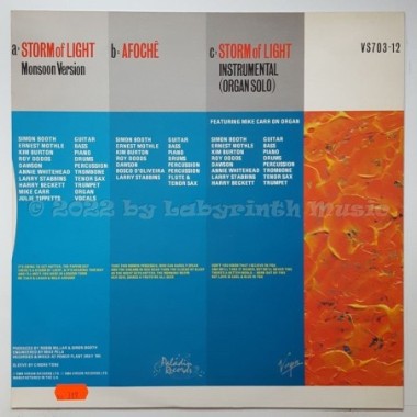 Working Week - Storm Of Light • 12" Vinyl Maxi • EX - Labyrinth Music